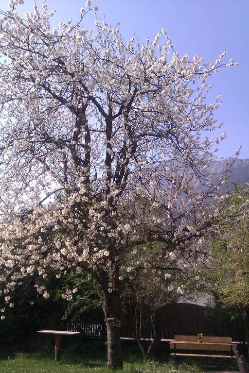 Eva's Apartment Bad Reichenhall