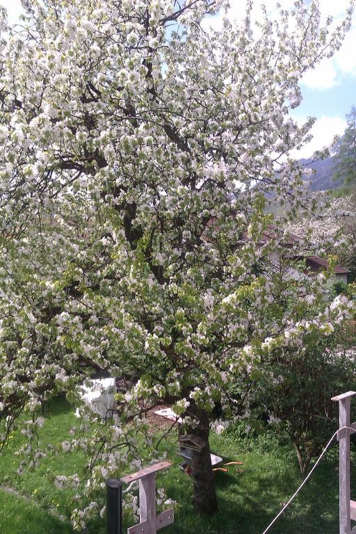 Apartment Eva's Bad Reichenhall
